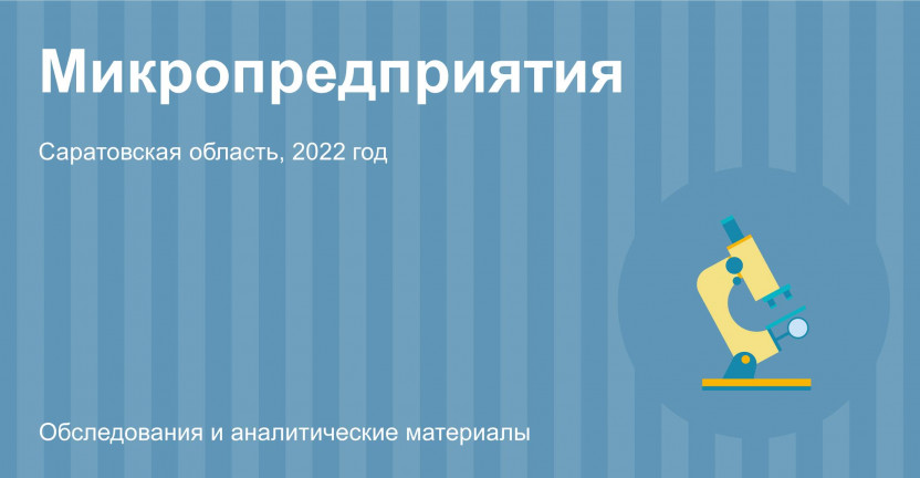 Основные показатели деятельности микропредприятий за 2022 год